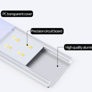 chemin lumineux pour personne âgée